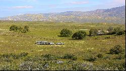 Wasioja Road, New Cuyama CA 93254