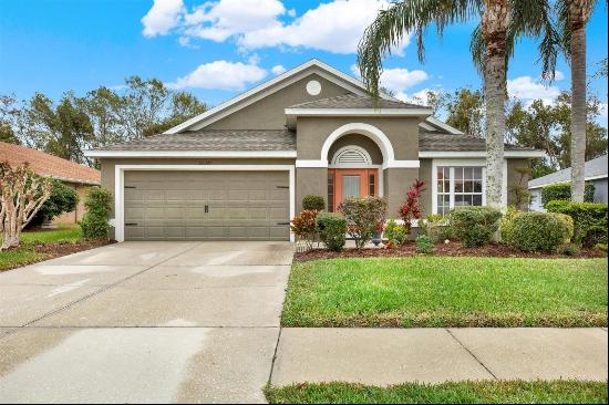 22247 Red Jacket Lane, Land O Lakes FL 34639