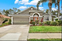 22247 Red Jacket Lane, Land O Lakes FL 34639