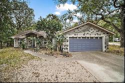 25900 Oakridge Avenue, Sorrento FL 32776