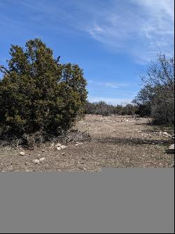 1081 SE Whitetail Trl #10, Eldorado TX 76936