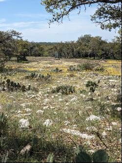 1081 SE Whitetail Trl #10, Eldorado TX 76936