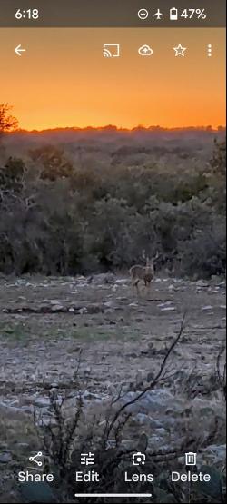 1081 SE Whitetail Trl #10, Eldorado TX 76936