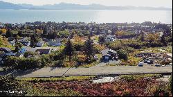 L8 W Fairview Avenue, Homer AK 99603