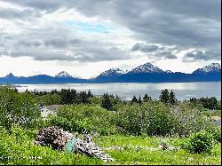 Lot 3 W Fairview Avenue, Homer AK 99603