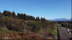 Lot 3 W Fairview Avenue, Homer AK 99603