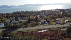 L5 W Fairview Avenue, Homer AK 99603