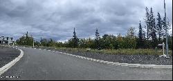 Sandhill Loop, Anchorage AK 99502