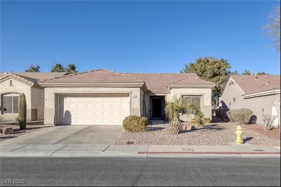 2116 Point Mallard Drive, Henderson NV 89012