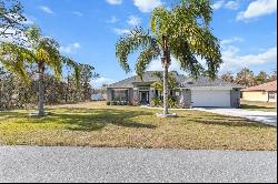 11169 Jackdaw Road, Weeki Wachee FL 34614