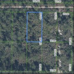 1617 Nectar Avenue, Sebring FL 33875