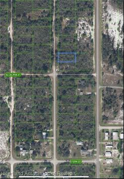 203 Marshall Avenue, Lake Placid FL 33852