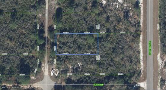 203 Marshall Avenue, Lake Placid FL 33852