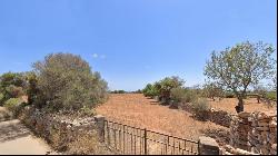 Two plots with project for a house with pool for sale in Santany, Santanyi 07650