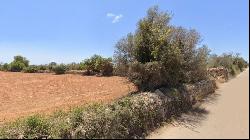 Two plots with project for a house with pool for sale in Santany, Santanyi 07650