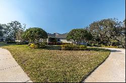 2595 Royal Liverpool Drive, Tarpon Springs FL 34688