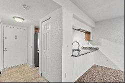 Beautiful and Updated Condo with over 25K in upgrades.