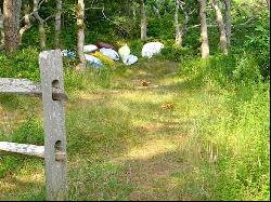 Land in Lower Makonikey