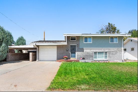 Charming Split-Level Home