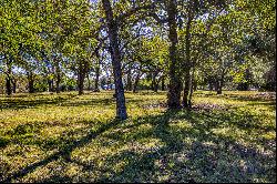 TBD Zettel Rd,New Ulm, TX, 78950