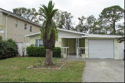 3317 West Iowa Avenue, TAMPA, FL, 33611