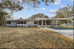 10308 Forest Hills Drive, TAMPA, FL, 33612