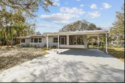 10308 Forest Hills Drive, TAMPA, FL, 33612