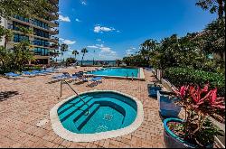 2413 Bayshore Boulevard 803, TAMPA, FL, 33629