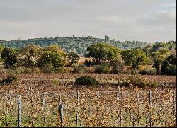 Wine Property 68 ha with beautiful house near Montpellier