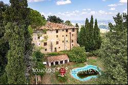 HISTORIC PROPERTY WITH CHIANTI VINEYARDS FOR SALE IN TUSCANY