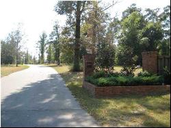 Timber Springs Drive, Wilmer AL 36587