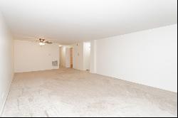 235 Marengo Avenue #4D, Forest Park IL 60130