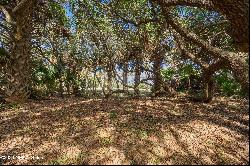 109 San Pelayo Court, St Augustine FL 32084