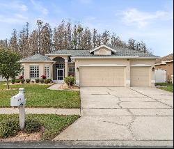 28725 Falling Leaves Way, Wesley Chapel FL 33543