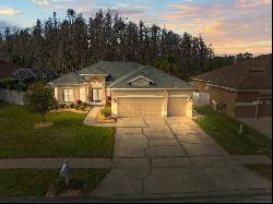 28725 Falling Leaves Way, Wesley Chapel FL 33543