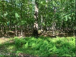 Lot 268 Evergreen Court, Lackawaxen PA 18428