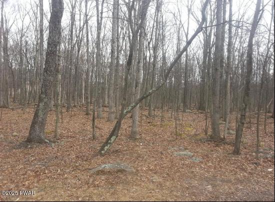 Lot 268 Evergreen Court, Lackawaxen PA 18428