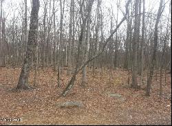 Lot 268 Evergreen Court, Lackawaxen PA 18428