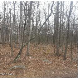 Lot 268 Evergreen Court, Lackawaxen PA 18428