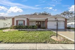 4737 Sandpointe Drive, New Port Richey FL 34655