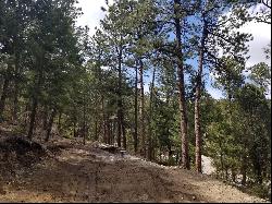 5325 S Hatch Drive, Evergreen CO 80439