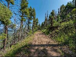 Lot 400 Vail Loop, Angel Fire NM 87710