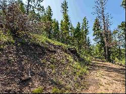 Lot 400 Vail Loop, Angel Fire NM 87710