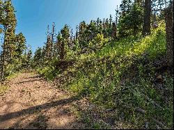 Lot 400 Vail Loop, Angel Fire NM 87710