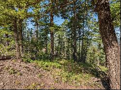 Lot 400 Vail Loop, Angel Fire NM 87710