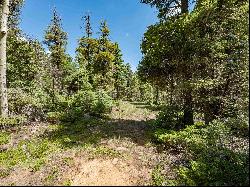 Lot 97 Zia Rd, Angel Fire NM 87710