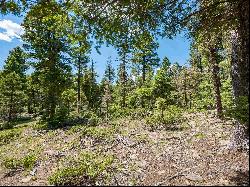 Lot 97 Zia Rd, Angel Fire NM 87710