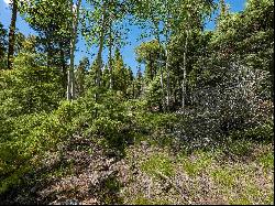 Lot 97 Zia Rd, Angel Fire NM 87710