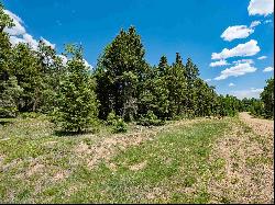 Lot 97 Zia Rd, Angel Fire NM 87710