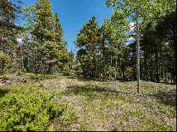 Lot 97 Zia Rd, Angel Fire NM 87710